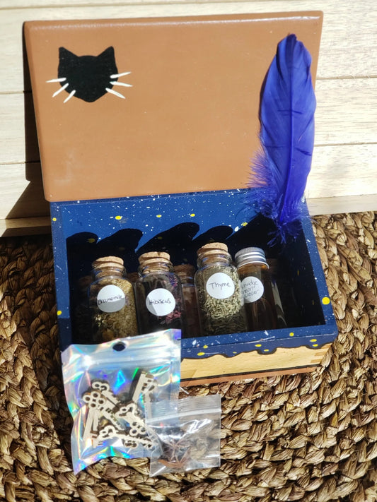 Cat Witch Box